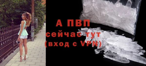 крисы Богданович