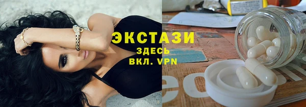 крисы Бородино