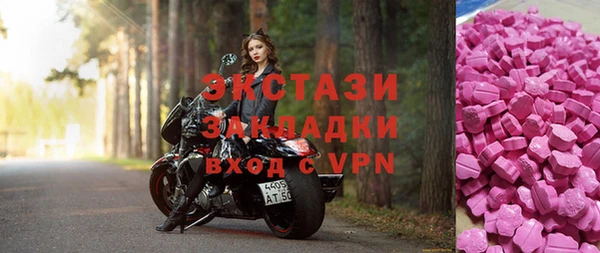крисы Бородино