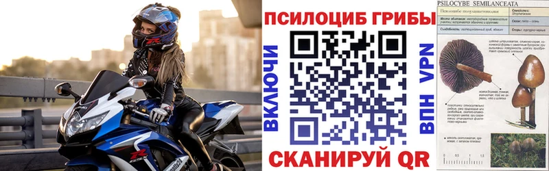 Псилоцибиновые грибы мухоморы  сайты даркнета клад  Кашира 