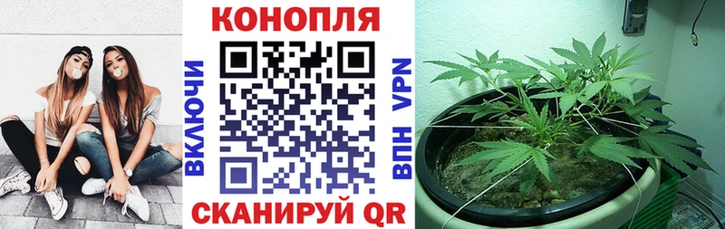 Бошки марихуана White Widow  площадка наркотические препараты  Кашира 